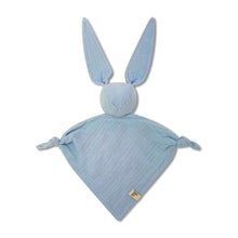 Load image into Gallery viewer, Blue Doudou