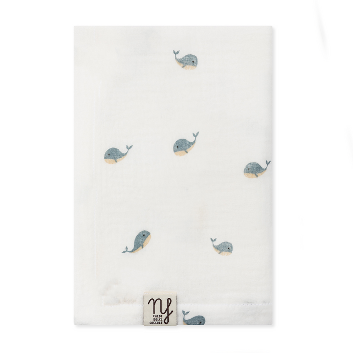 Mussola limited Balena