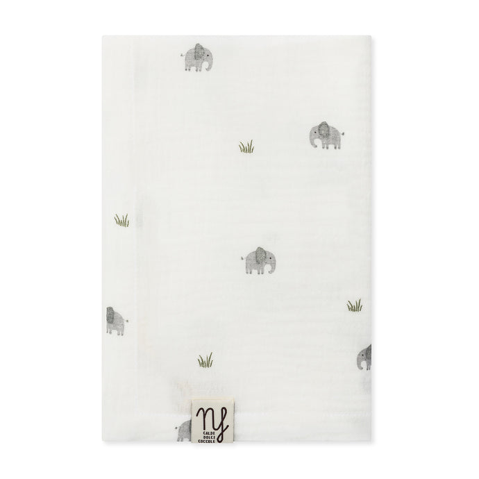 Mussola limited Elefanti